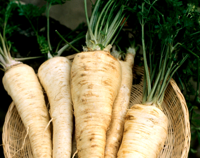 Puree van wortelpeterselie